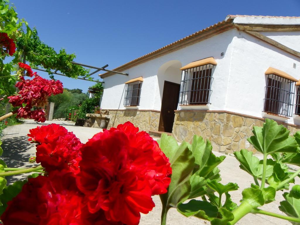 Casa Rural La Parada La Joya Exterior photo